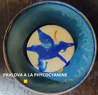 Pavlova à la Phycocyanine - Dohrnii