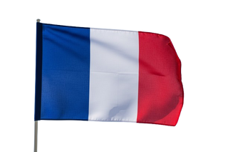 Icône drapeau français illustrant la fabrication française de la phycocyanine liquide Dohrnii.