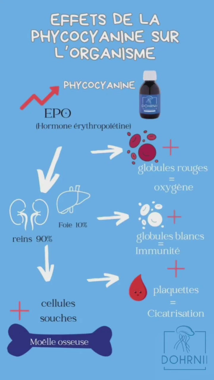 Vidéo animée montrant les effets de la phycocyanine sur l'organisme :  augmentation des globules rouges, des globules blancs et des plaquettes.